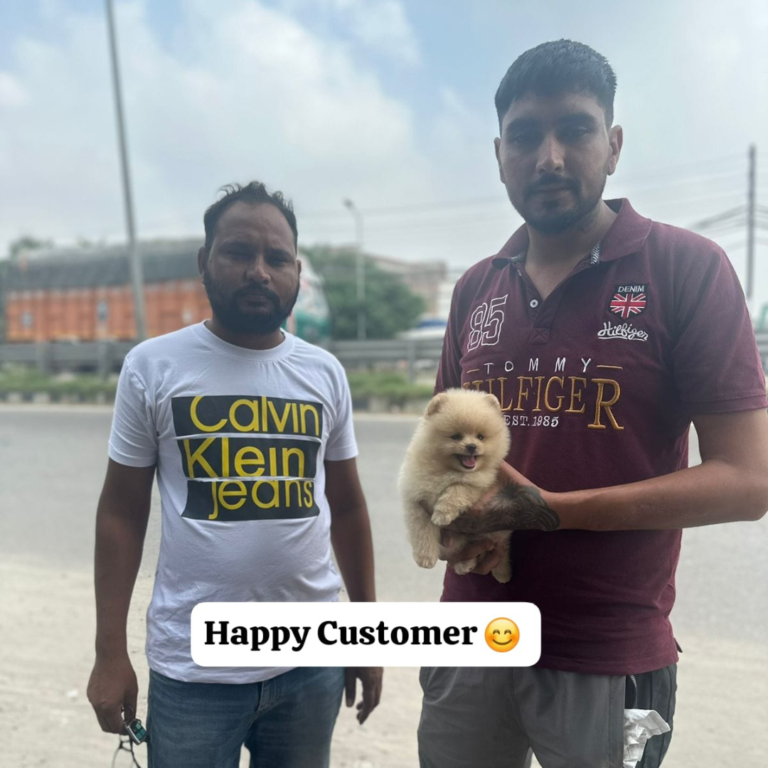 Kamla Pet Lover Happy Clients (12)