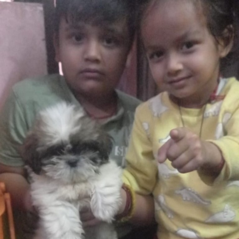 Kamla Pet Lover Happy Clients (13)