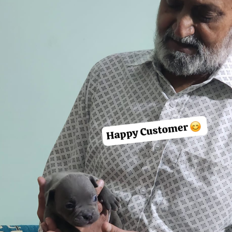 Kamla Pet Lover Happy Clients (14)